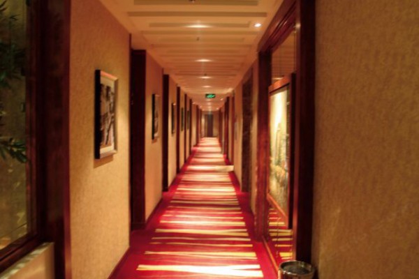 广州增城校园茶艺文化探秘