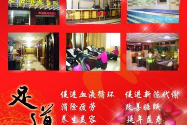 广州专业茶艺培训课程